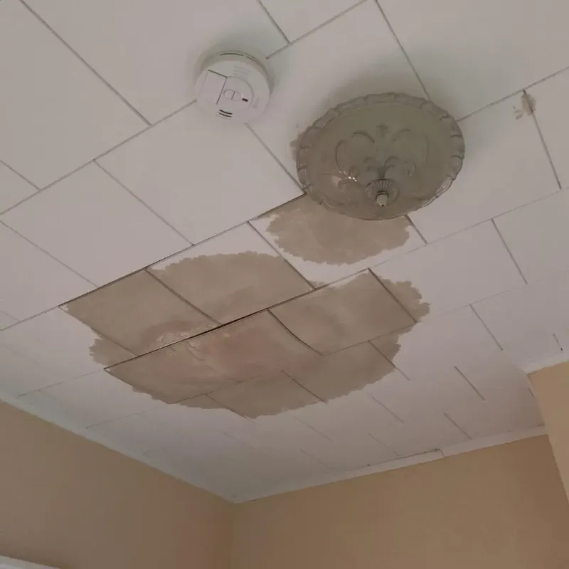 Ceiling Water Damage Repair in Salem, WI