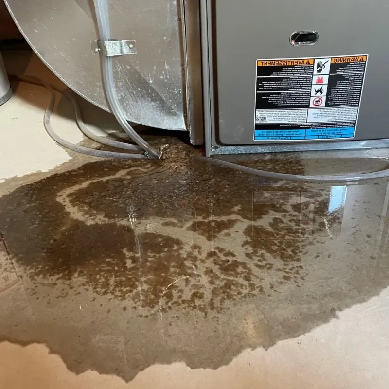 Pipe Burst and Leak Restoration in Salem, WI