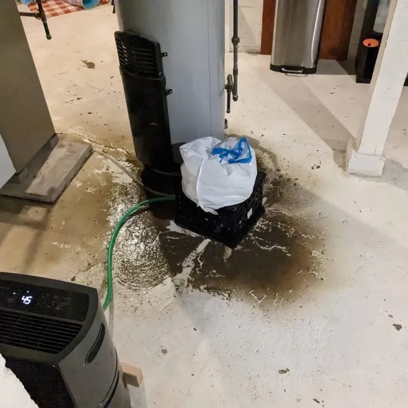 Sewage Backup Cleanup Service in Salem, WI